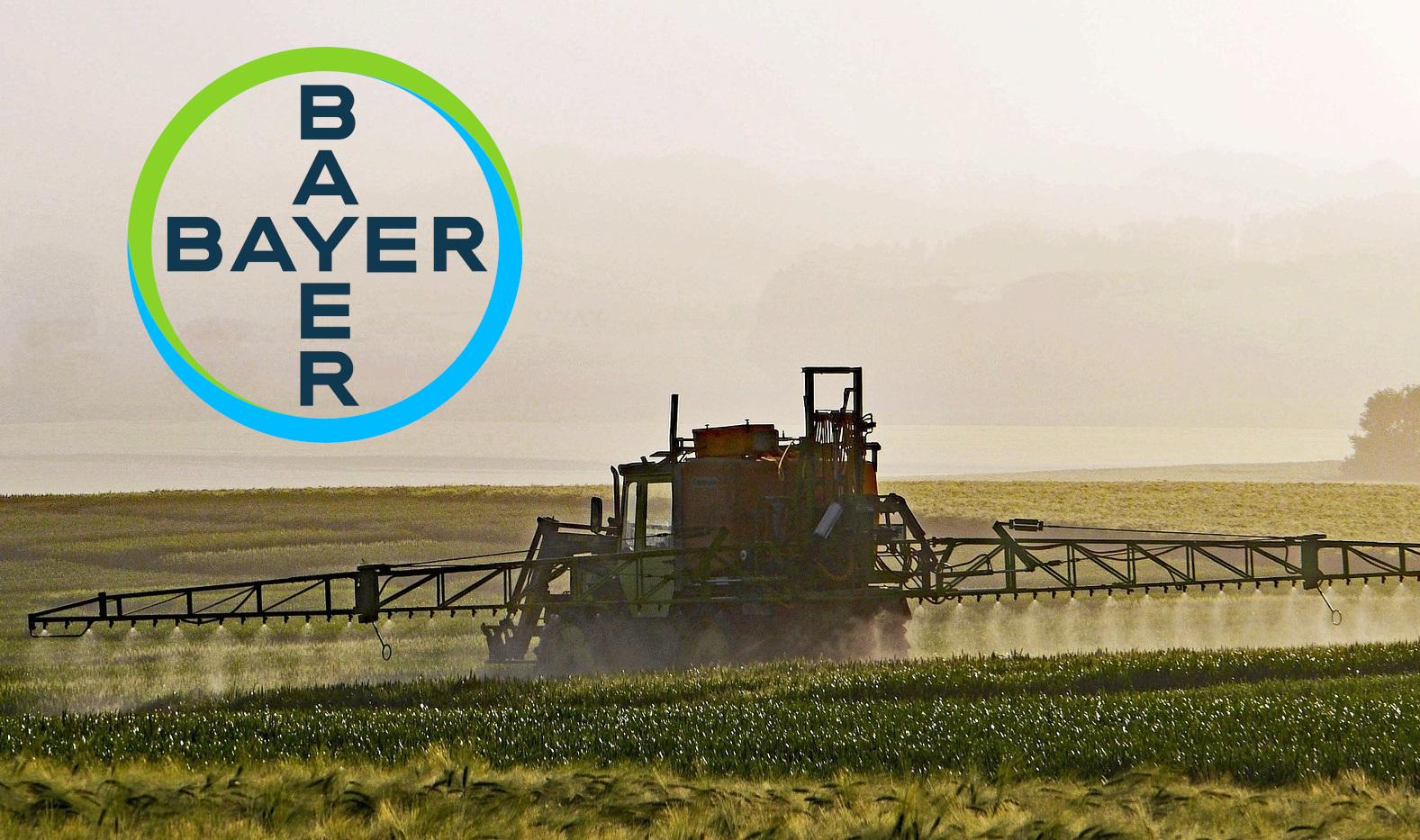 Bayer - Riesenchance Nach Dem Glyphosat-Prozess? - Aktiengedanken