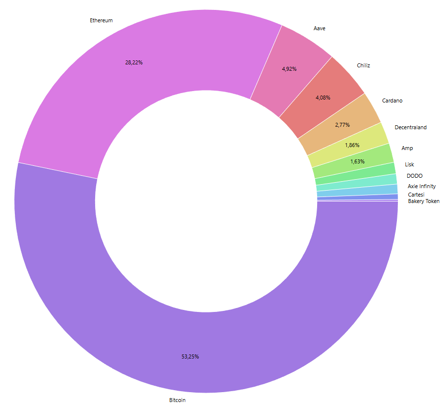 Übersicht der Kryptowährungen in meinem Portfolio Ende Dezember